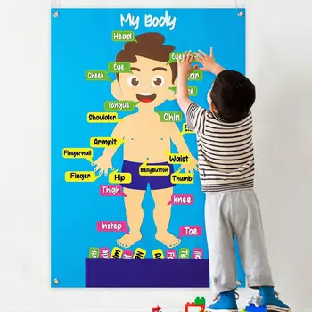Когнитивна Играчка За Тялото на малко Дете на Борда Монтесори Ранните Забавни Играчки Част на Тялото Думи Стенни Дъска за Рисуване Учебни Помагала За детската градина