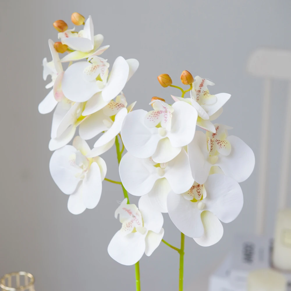 Изображение /thumbs_2-content/Изкуствени-цветя-3d-лента-орхидея_104.jpeg